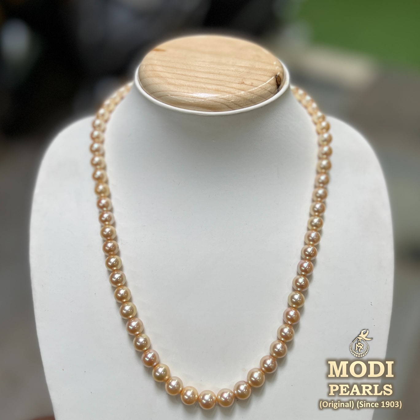 At Auction: 14K Claps Golden Pearl Necklace