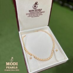 Golden Akoya Pearls