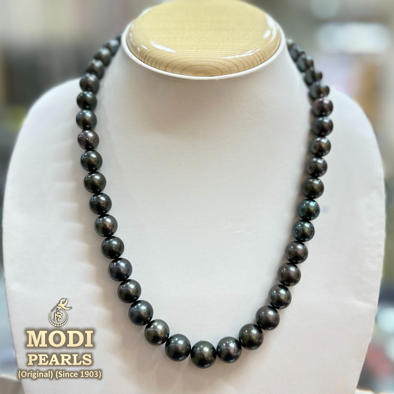 8.4-10.7 mm AA+/AAA Tahitian Round Pearl Necklace – Pearl Paradise